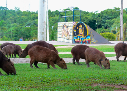 Parque Cesamar